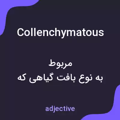 معنی collenchymatous به فارسی معنی collenchymatous به فارسی