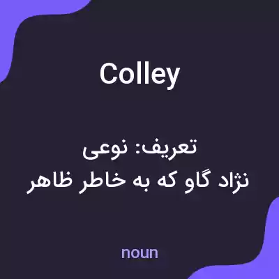 معنی colley به فارسی معنی colley به فارسی