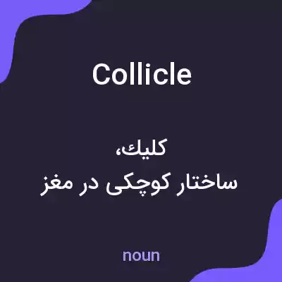 معنی collicle به فارسی معنی collicle به فارسی
