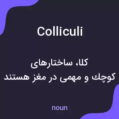 معنی colliculi به فارسی معنی colliculi به فارسی