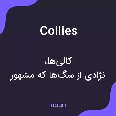 معنی collies به فارسی معنی collies به فارسی