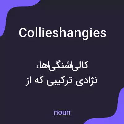 معنی collieshangies به فارسی معنی collieshangies به فارسی