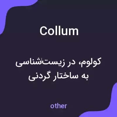 معنی collum به فارسی معنی collum به فارسی