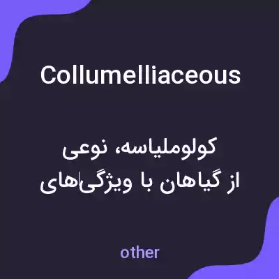 معنی collumelliaceous به فارسی معنی collumelliaceous به فارسی