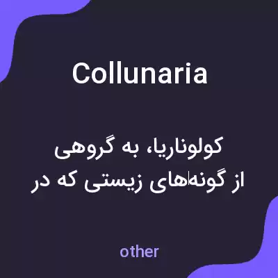معنی collunaria به فارسی معنی collunaria به فارسی