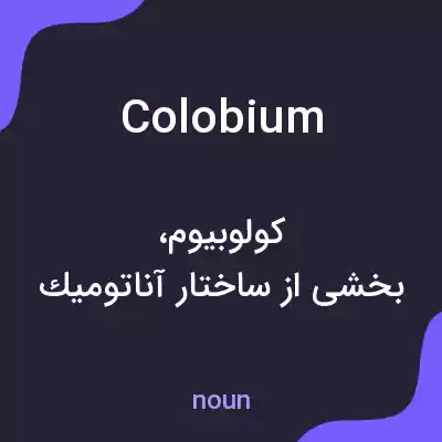 معنی colobium به فارسی معنی colobium به فارسی