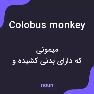 معنی colobus monkey به فارسی معنی colobus monkey به فارسی