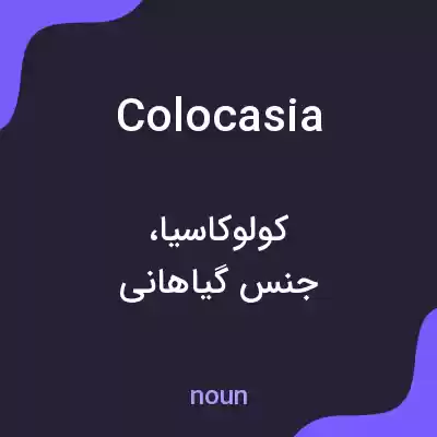 معنی colocasia به فارسی معنی colocasia به فارسی