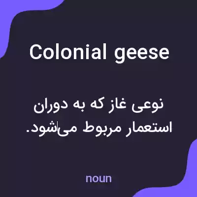 معنی colonial geese به فارسی معنی colonial geese به فارسی