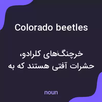 معنی colorado beetles به فارسی معنی colorado beetles به فارسی