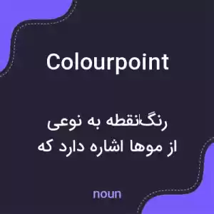 معنی colourpoint به فارسی معنی colourpoint به فارسی