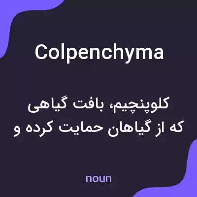 معنی colpenchyma به فارسی معنی colpenchyma به فارسی