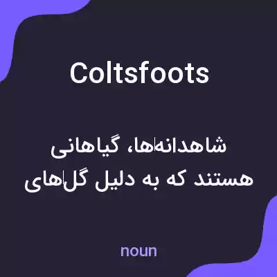 معنی coltsfoots به فارسی معنی coltsfoots به فارسی