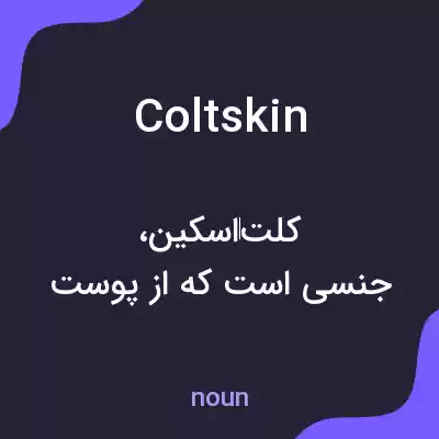 معنی coltskin به فارسی معنی coltskin به فارسی