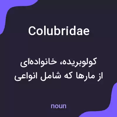 معنی colubridae به فارسی معنی colubridae به فارسی