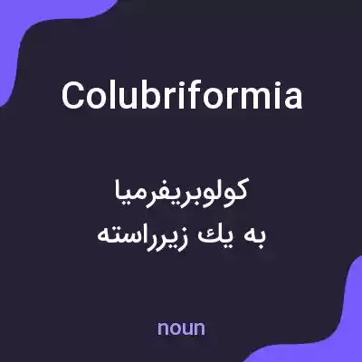 معنی colubriformia به فارسی معنی colubriformia به فارسی