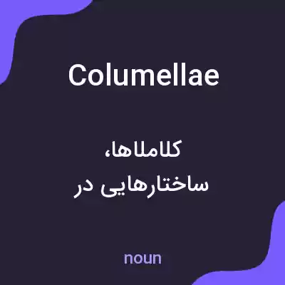معنی columellae به فارسی معنی columellae به فارسی
