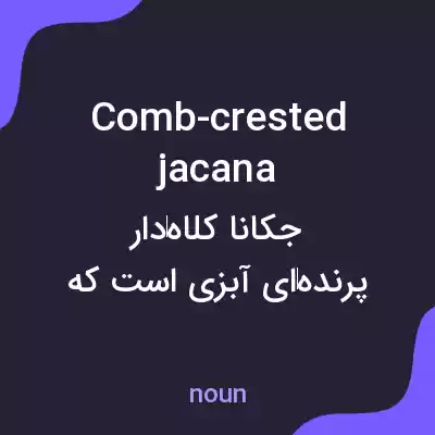 معنی comb-crested jacana به فارسی معنی comb-crested jacana به فارسی