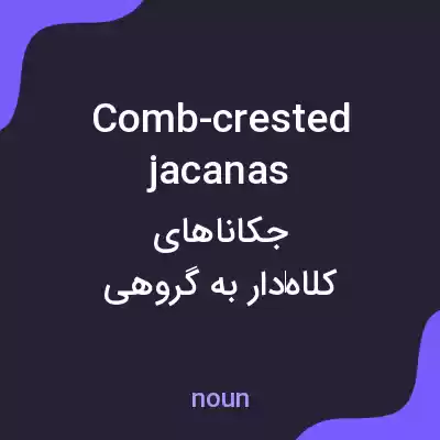 معنی comb-crested jacanas به فارسی معنی comb-crested jacanas به فارسی