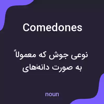 معنی comedones به فارسی