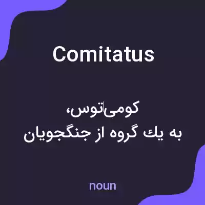 معنی comitatus به فارسی معنی comitatus به فارسی