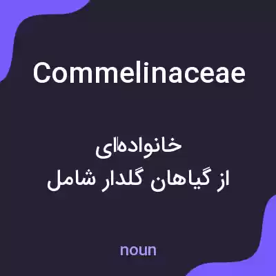 معنی commelinaceae به فارسی معنی commelinaceae به فارسی