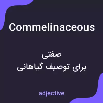 معنی commelinaceous به فارسی معنی commelinaceous به فارسی