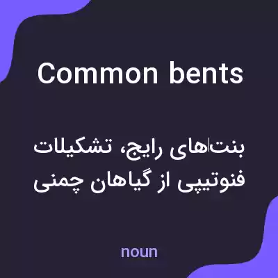 معنی common bents به فارسی