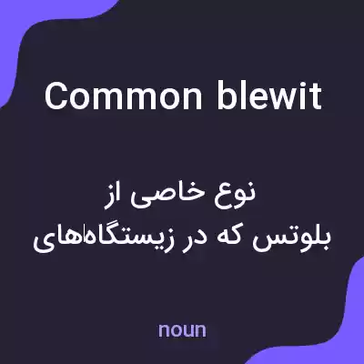 معنی common blewit به فارسی معنی common blewit به فارسی