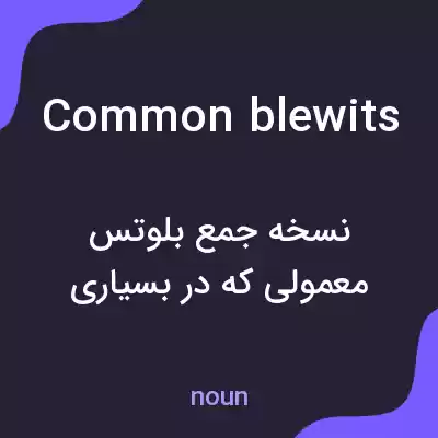 معنی common blewits به فارسی معنی common blewits به فارسی