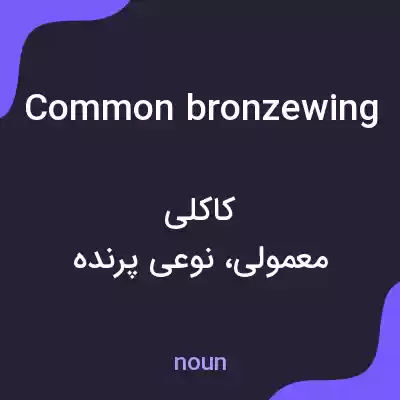معنی common bronzewing به فارسی معنی common bronzewing به فارسی