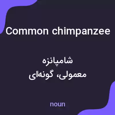معنی common chimpanzee به فارسی معنی common chimpanzee به فارسی