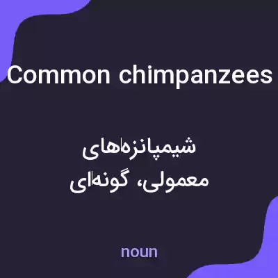 معنی common chimpanzees به فارسی معنی common chimpanzees به فارسی