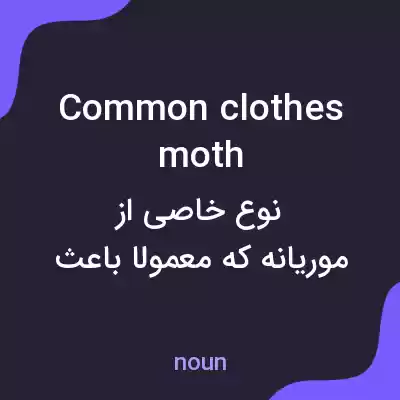معنی common clothes moth به فارسی معنی common clothes moth به فارسی