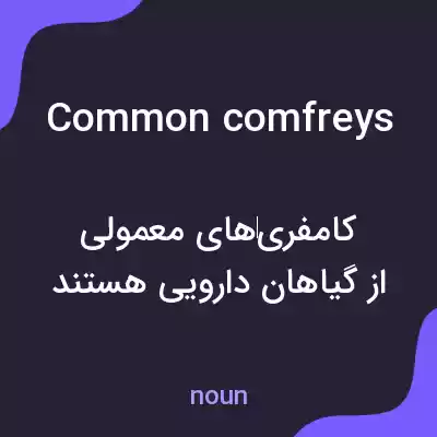 معنی common comfreys به فارسی معنی common comfreys به فارسی