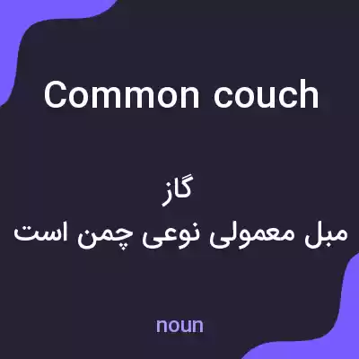 معنی common couch به فارسی معنی common couch به فارسی