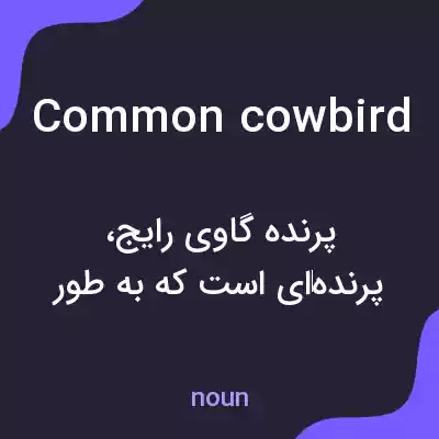 معنی common cowbird به فارسی معنی common cowbird به فارسی