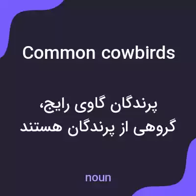 معنی common cowbirds به فارسی معنی common cowbirds به فارسی