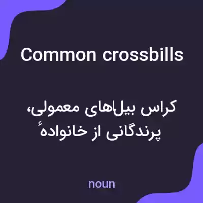 معنی common crossbills به فارسی معنی common crossbills به فارسی