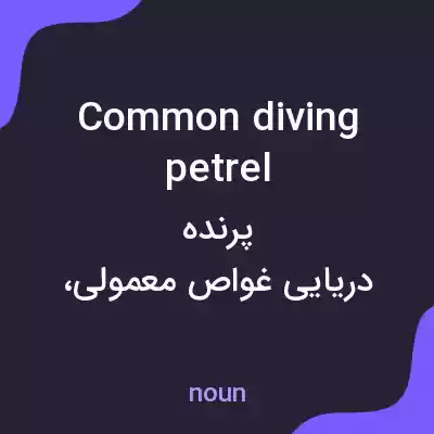 معنی common diving petrel به فارسی معنی common diving petrel به فارسی