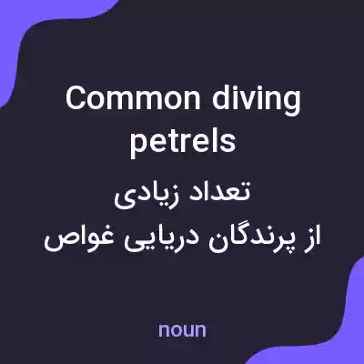 معنی common diving petrels به فارسی معنی common diving petrels به فارسی
