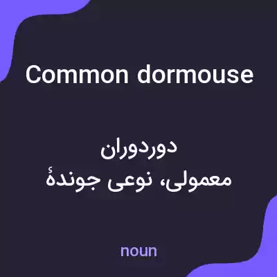 معنی common dormouse به فارسی معنی common dormouse به فارسی