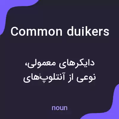 معنی common duikers به فارسی معنی common duikers به فارسی