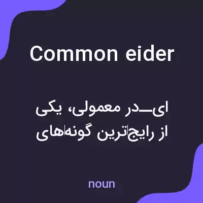 معنی common eider به فارسی معنی common eider به فارسی