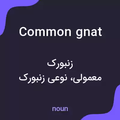 معنی common gnat به فارسی معنی common gnat به فارسی