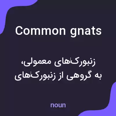 معنی common gnats به فارسی معنی common gnats به فارسی