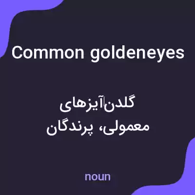 معنی common goldeneyes به فارسی معنی common goldeneyes به فارسی