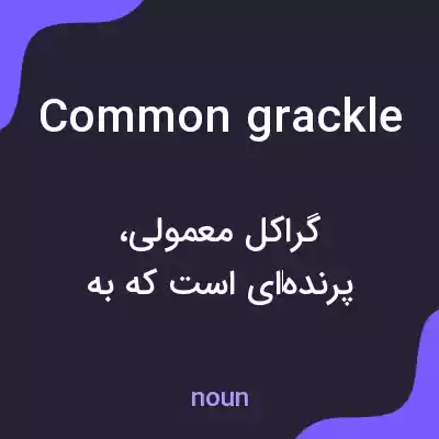 معنی common grackle به فارسی معنی common grackle به فارسی