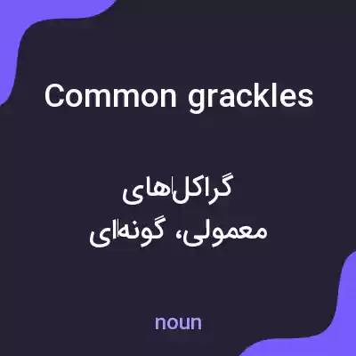 معنی common grackles به فارسی معنی common grackles به فارسی
