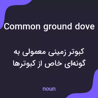 معنی common ground dove به فارسی معنی common ground dove به فارسی